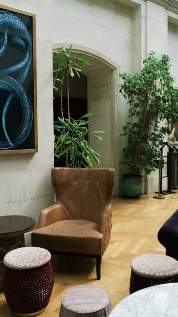 Modern interior lounge in Baku with a leather armchair and lush plants.